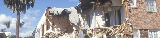 Earthquake Efforts, Or: How I Learned to Stop Worrying and Start Preparing